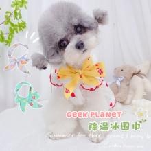 Одежда (стандарт) фото