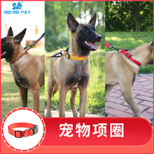 Ошейники фото