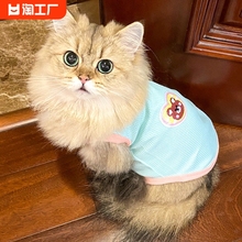 Одежда фото