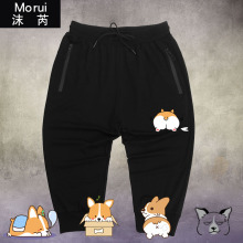 Штанишки для собак фото