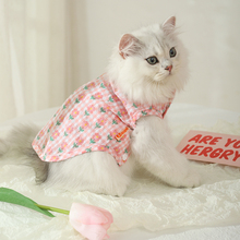 Одежда фото