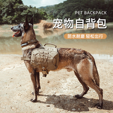 Одежда фото