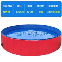 Ванны для домашних животных фото