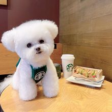 Одежда (стандарт) фото