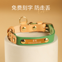 Декоративные ошейники фото