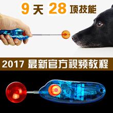 Тренажеры фото