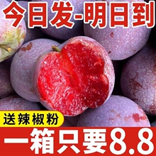 Чехлы и сумки фото