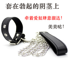 Поводки фото