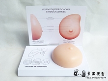 Вкладыши для бюстгалтера фото