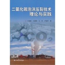 Оборудование для подачи углекислого газа фото