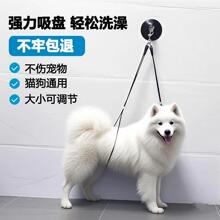 Все для стрижки и мойки домашних животных фото