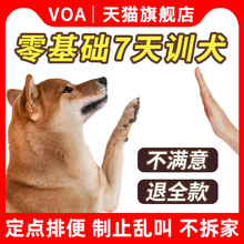 Тренажеры фото