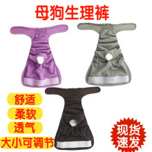 Штанишки для собак фото