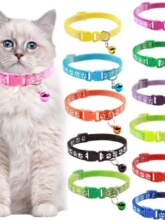 Ошейники фото
