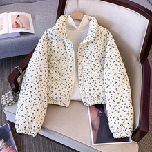 Жакеты фото