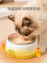 Товары для кошек и собак фото