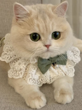 Одежда фото