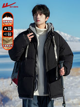 Верхняя одежда для беременных фото