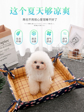 Штанишки для собак фото