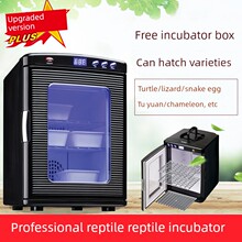 Инкубатор фото