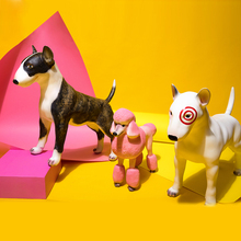 Одежда и аксессуары для домашних животных фото