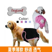 Штанишки для собак фото