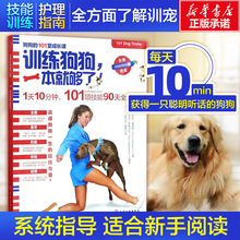 Тренажеры фото