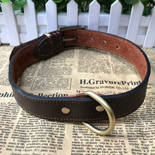 Поводки фото