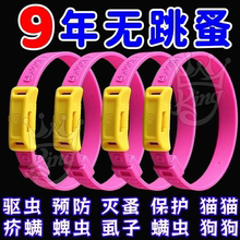 Декоративные ошейники фото