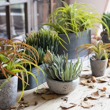 Настольные украшения фото