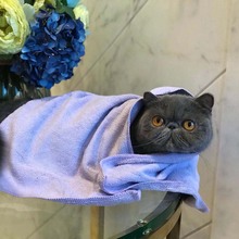 Полотенца для домашних животных фото