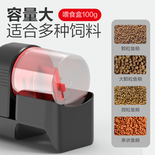 Автоматическая кормушка фото