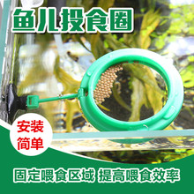 Автоматическая кормушка фото