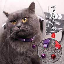 Декоративные ошейники фото