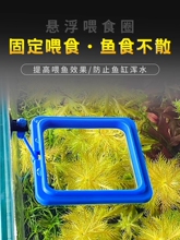 Автоматическая кормушка фото