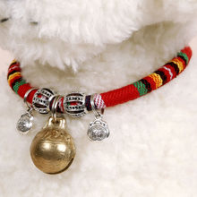 Декоративные ошейники фото