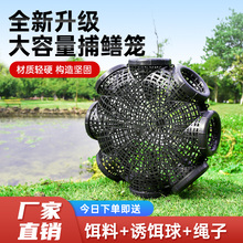 Намордники фото