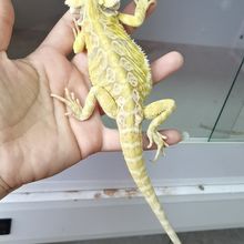 Обувь фото