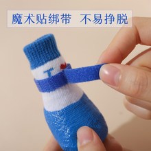 Одежда (стандарт) фото