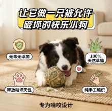 Игрушки со звуком фото