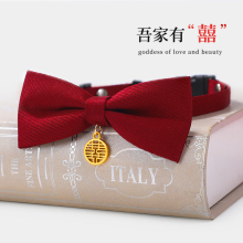 Одежда и аксессуары для домашних животных фото