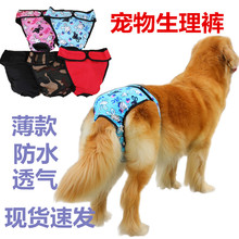 Штанишки для собак фото