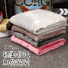 Совки для собак фото