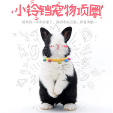 Декоративные ошейники фото