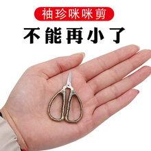 Ножницы фото