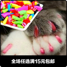 Одежда (стандарт) фото