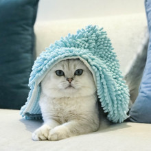 Полотенца для домашних животных фото