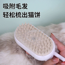 Паровые щётки фото