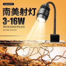 Аквариум фото