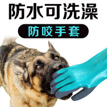 Одежда (стандарт) фото